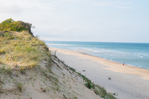 Beach scene with sand dunes and ocean view